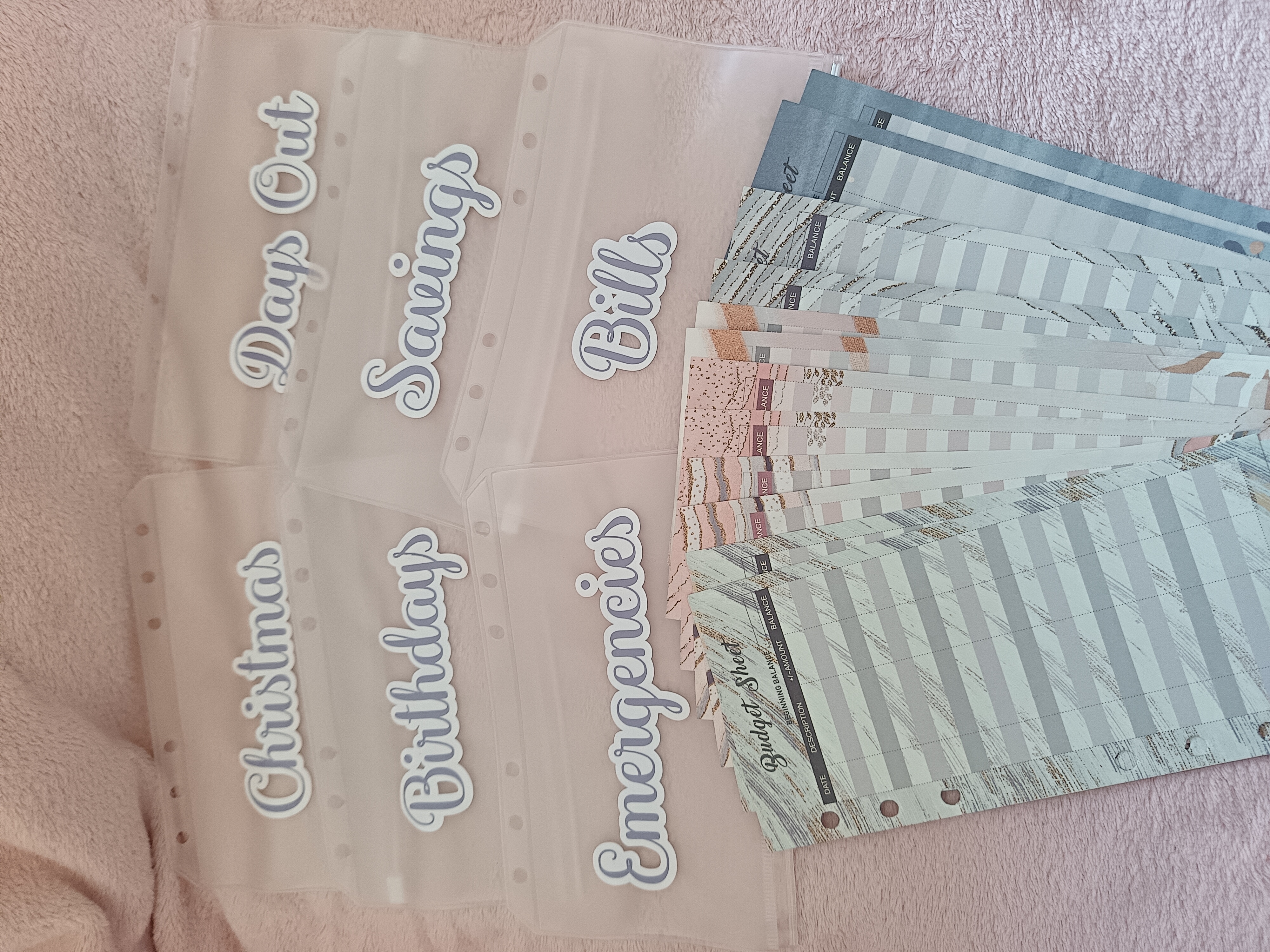 Vinyled 'Goodbye Money' Budget Binder - additional image 1